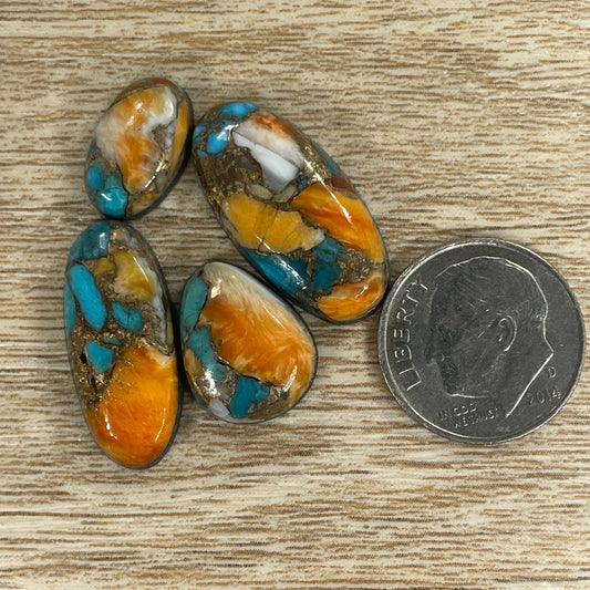 Orange Spiny Turquoise