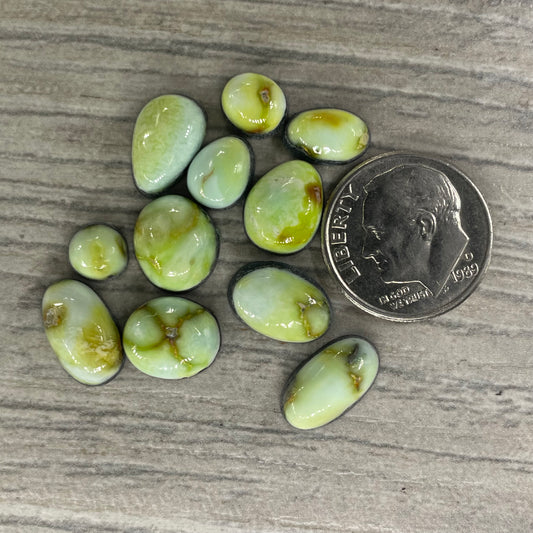 Palomino Minis