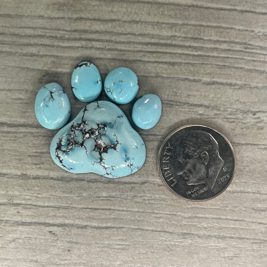 Golden Hill Paw