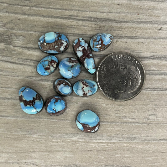 Golden Hill Minis