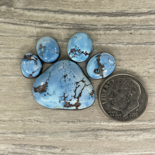 Golden Hill Paw