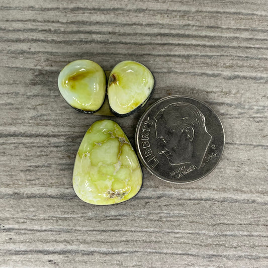 Palomino Set