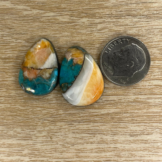 Orange Spiny Turquoise
