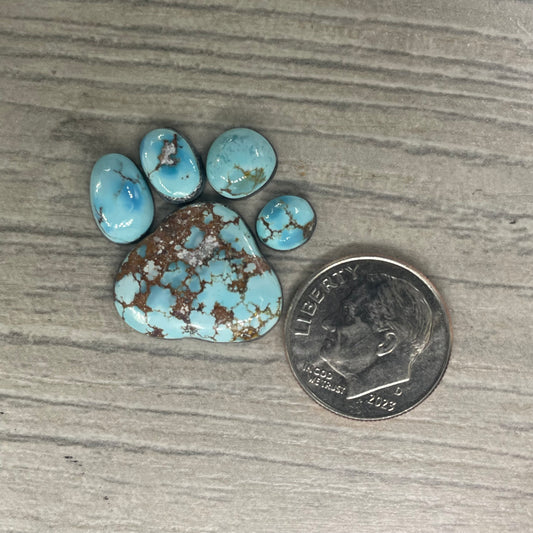 Golden Hill Paw