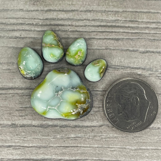 Palomino Paw Set