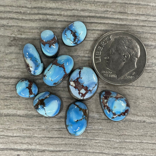 Golden Hill Minis