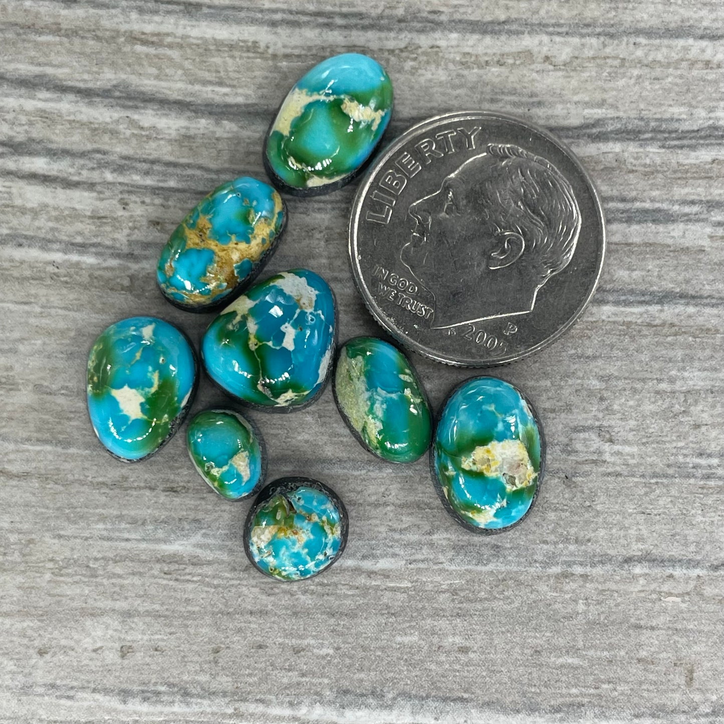 Sonoran Mountain Minis