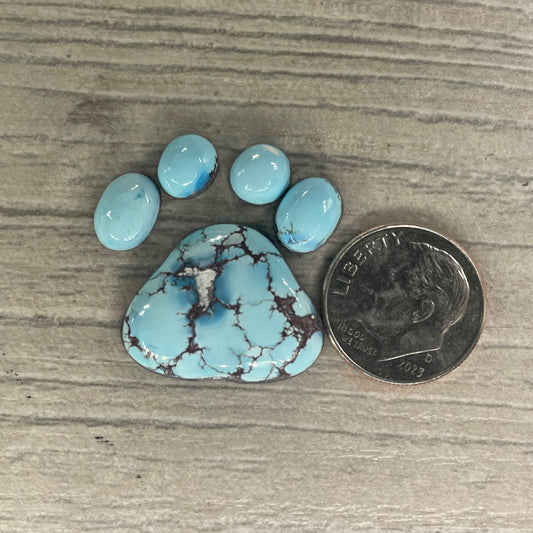 Golden Hill Paw