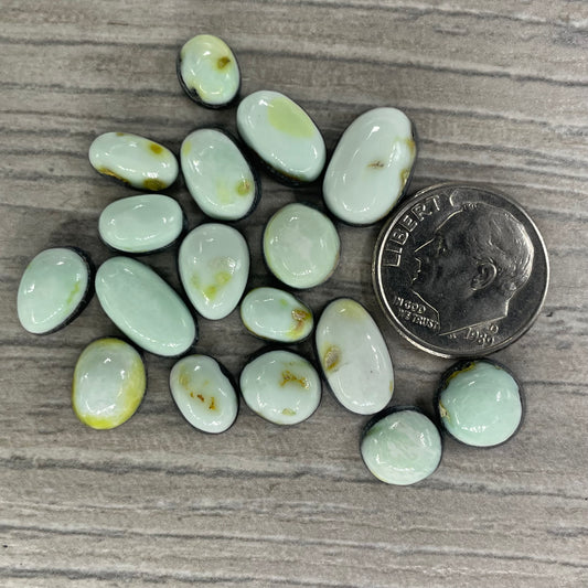 Palomino Minis