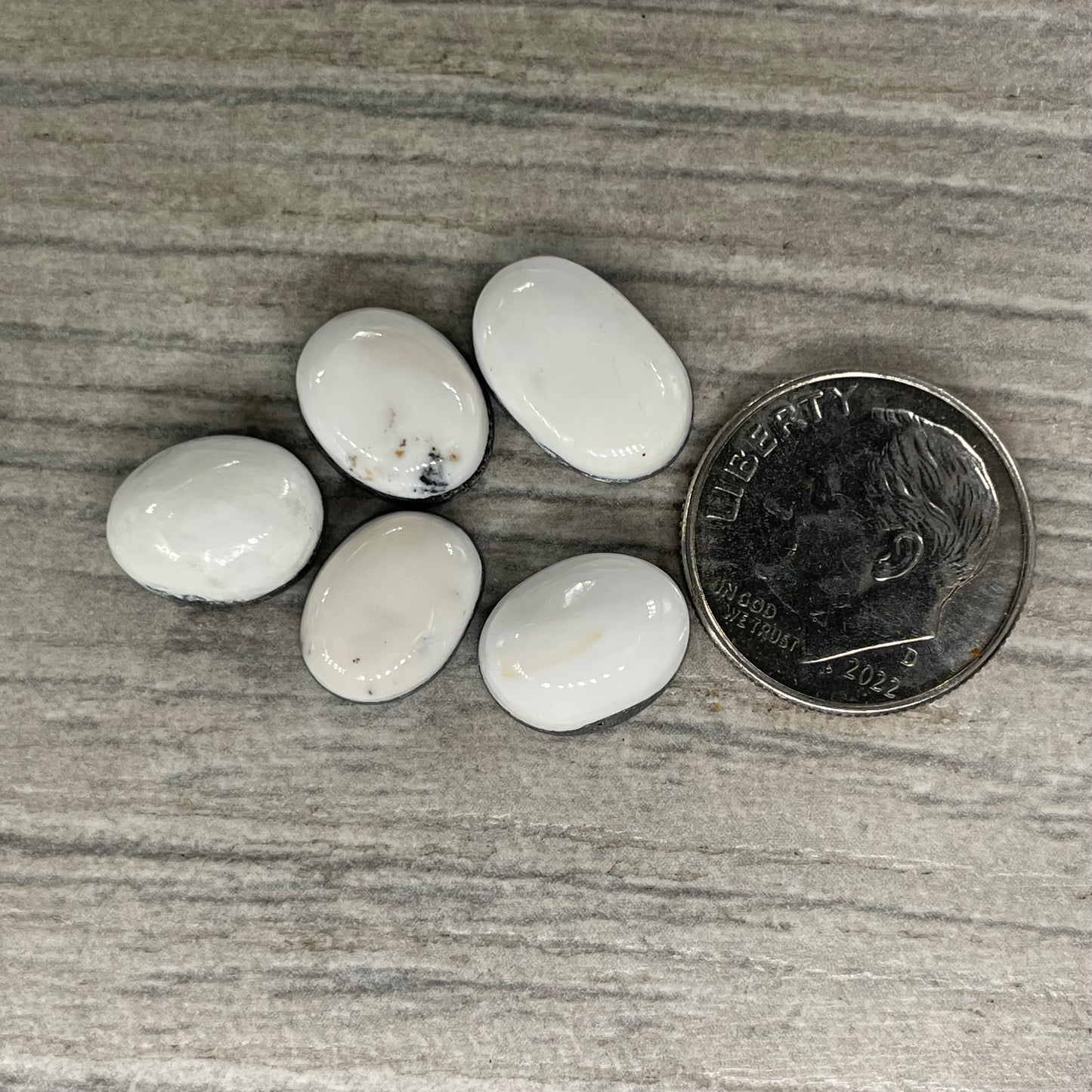 White Buffalo Minis