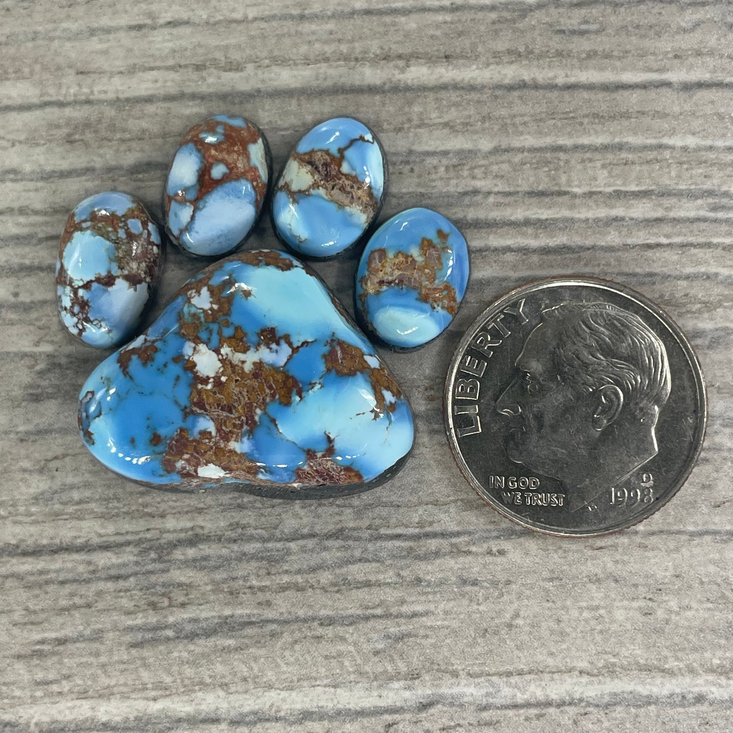 Golden Hill Paw