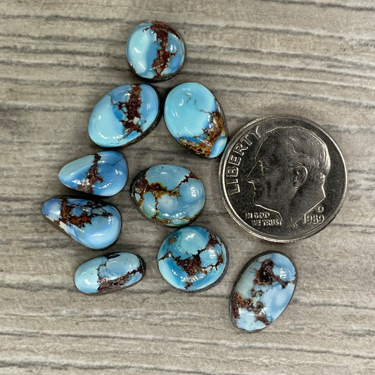 Golden Hill Minis
