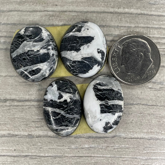 White Buffalo Earring Pairs
