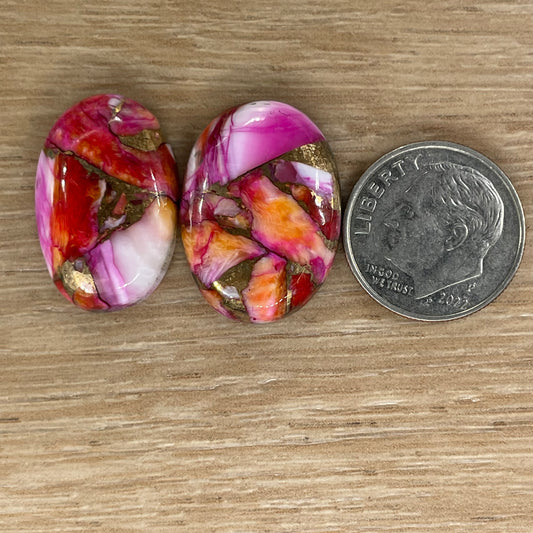 Starburst Spiny Oyster
