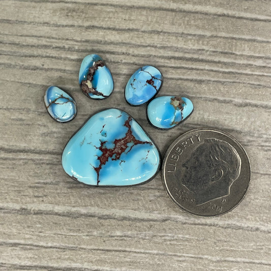 Golden Hill Paw