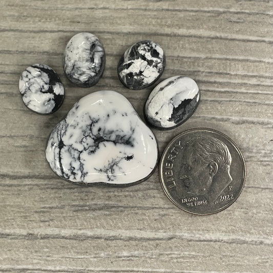 White Buffalo Paw