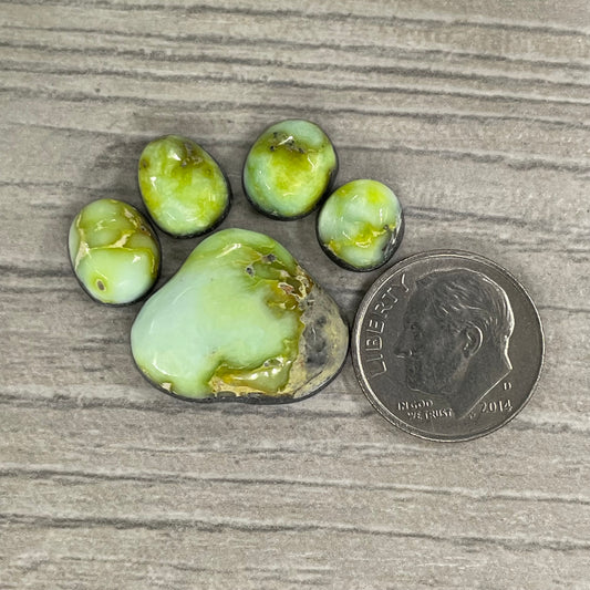 Palomino Paw Set
