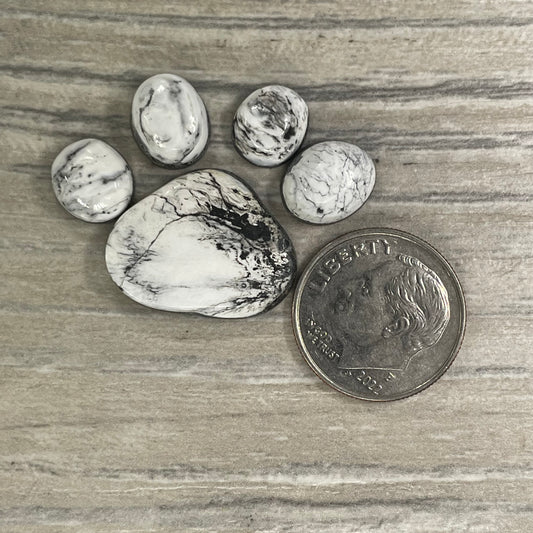 White Buffalo Paw