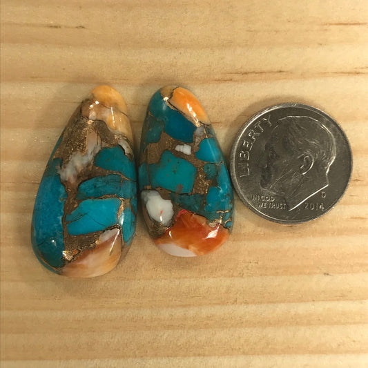 Orange Spiny Turquoise