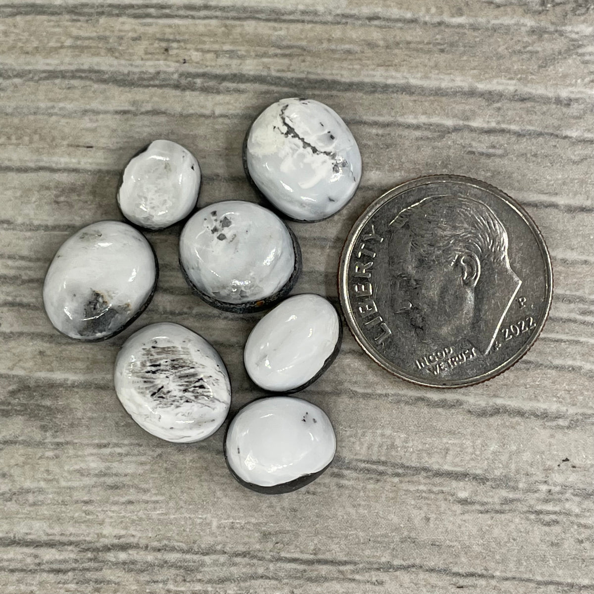 White Buffalo Minis