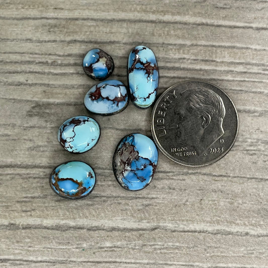 Golden Hill Minis