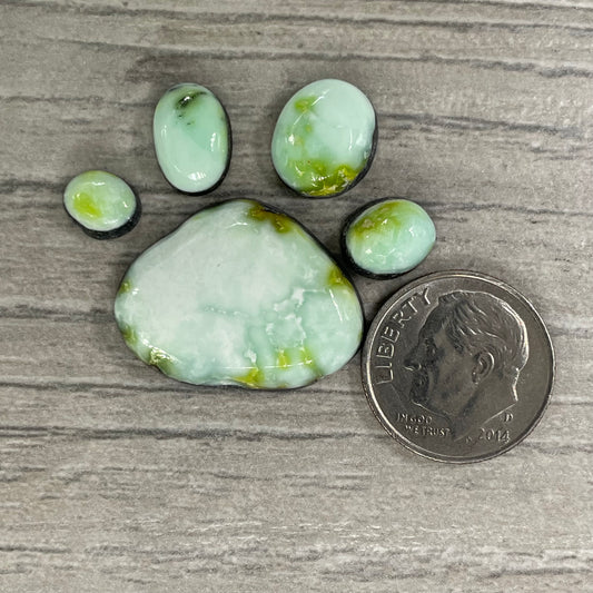 Palomino Paw Set
