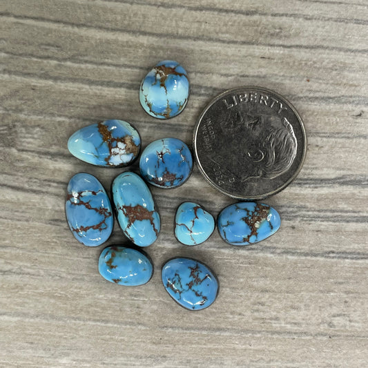 Golden Hill Minis