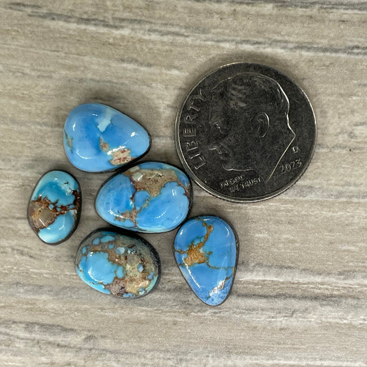 Golden Hill Minis
