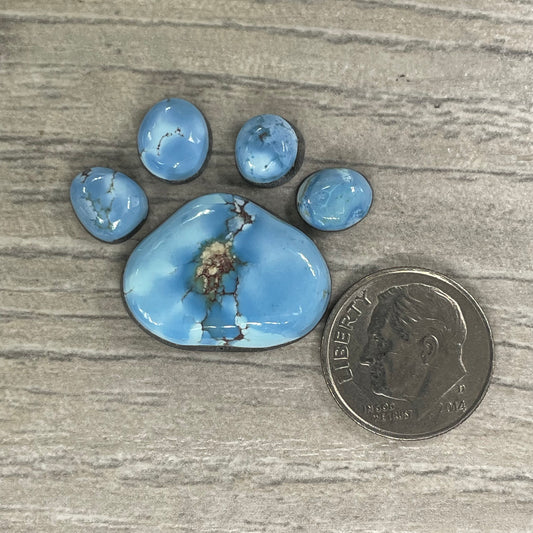 Golden Hill Paw