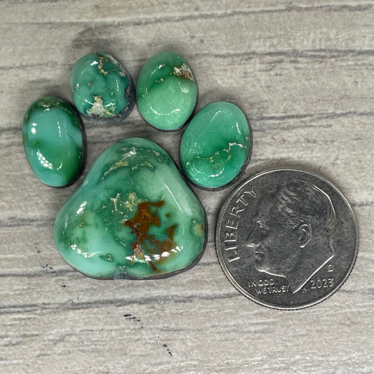 Emerald Valley Paw