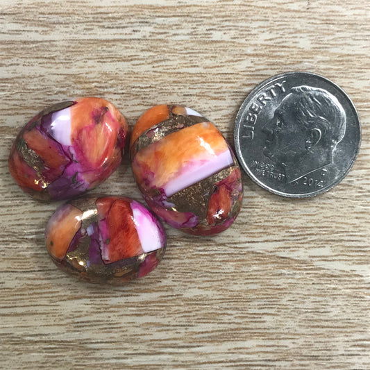 Starburst Spiny Oyster