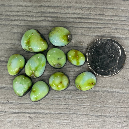 Palomino Minis