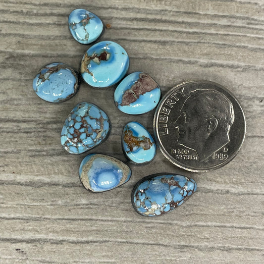 Golden Hill Minis