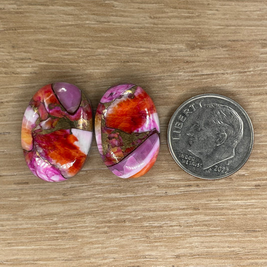 Starburst Spiny Oyster