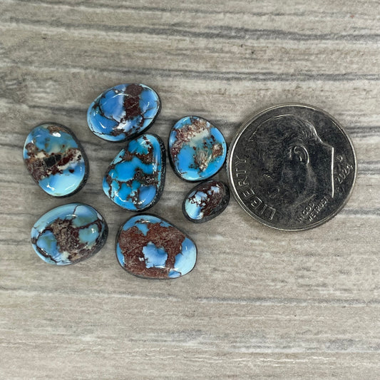 Golden Hill Minis