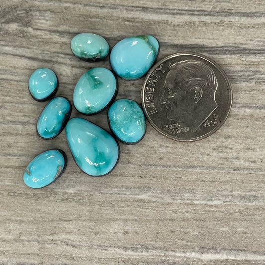 Verde Valley Minis