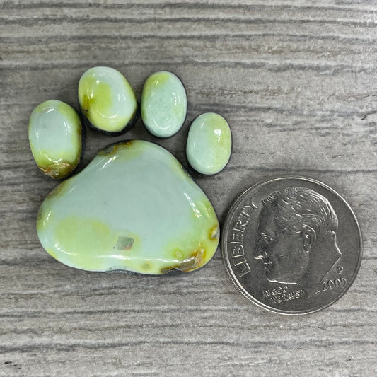 Palomino Paw Set