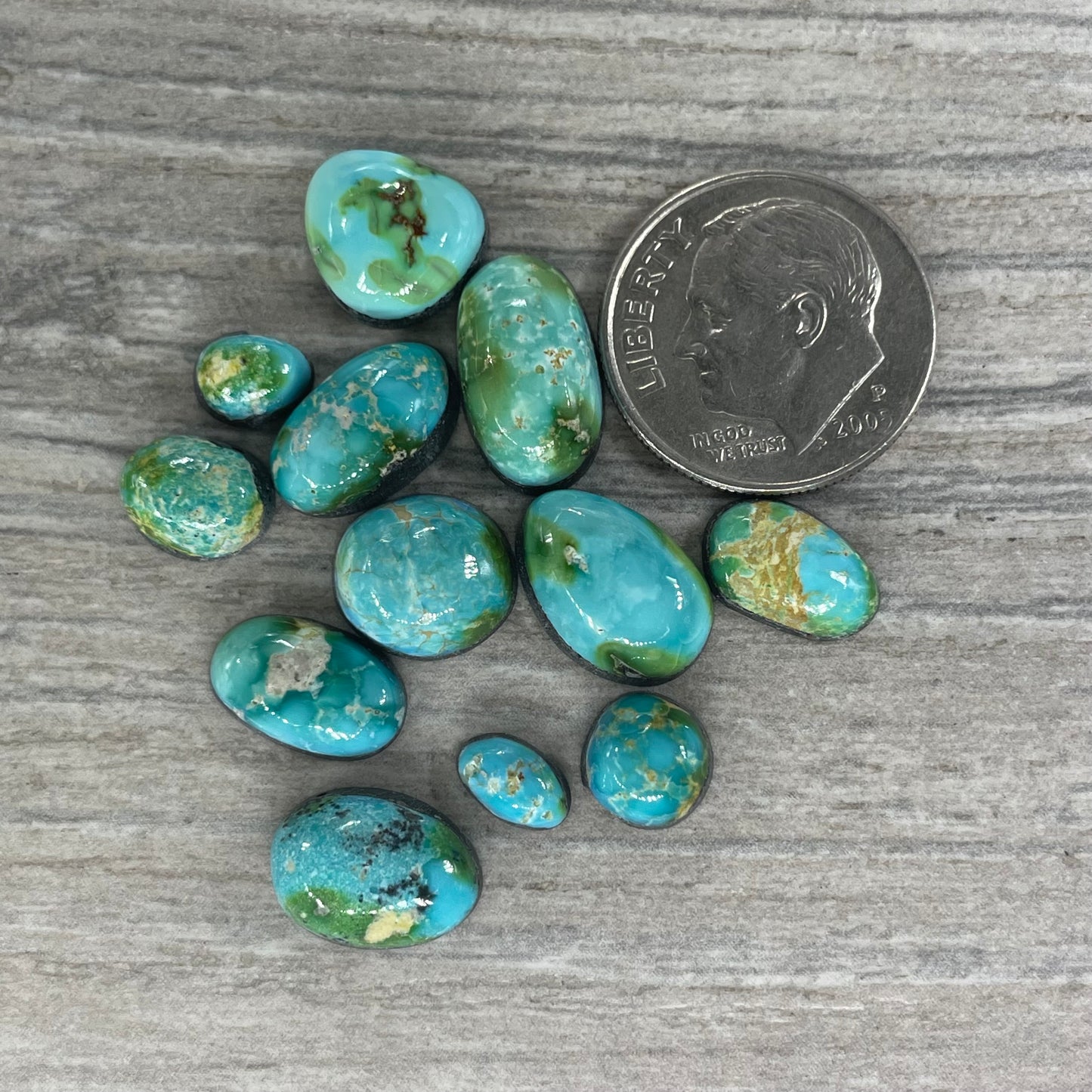Sonoran Mountain Minis