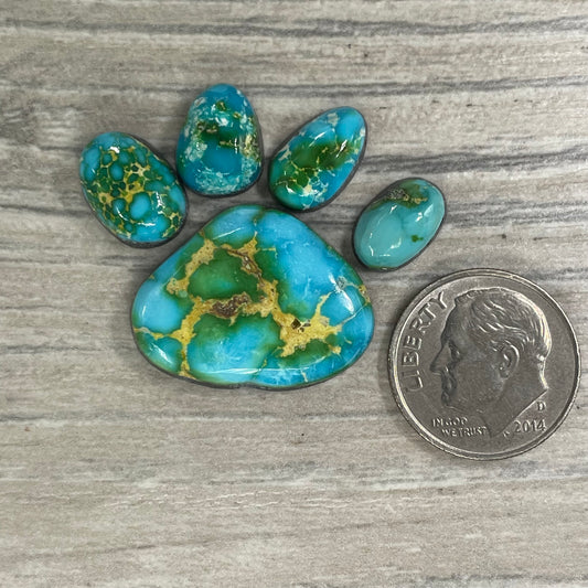 Sierra Bella Paw