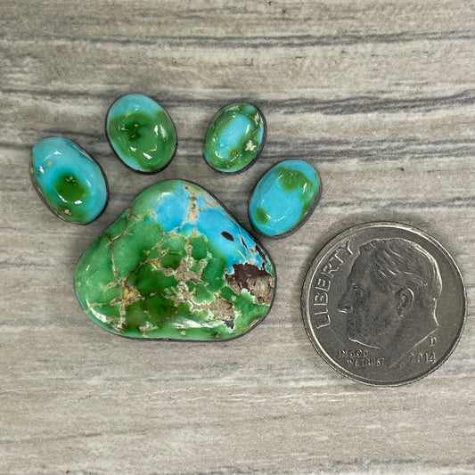 Sierra Bella Paw