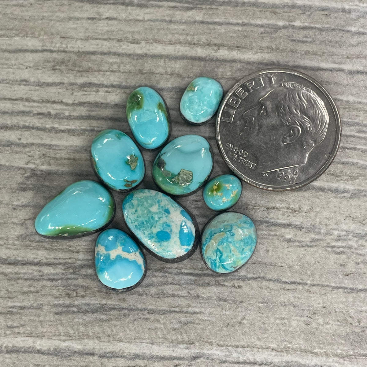 Sonoran Mountain Minis