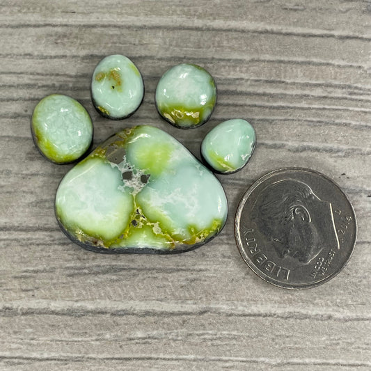 Palomino Paw Set
