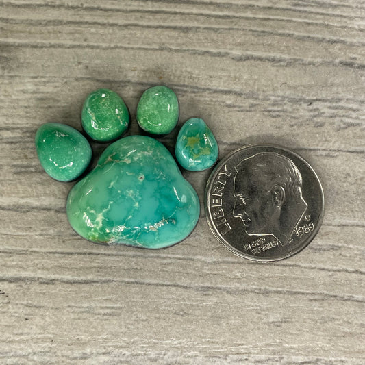 Emerald Valley Paw