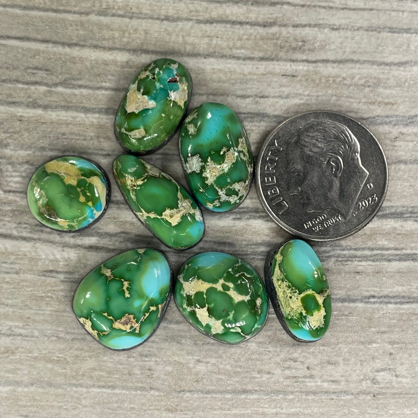 Sonoran Mountain Minis