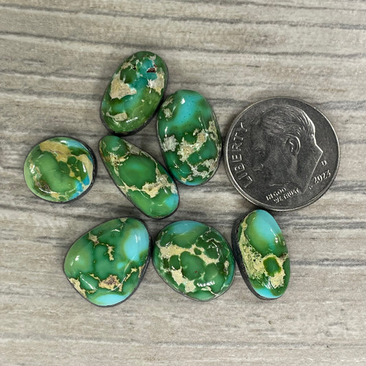 Sonoran Mountain Minis