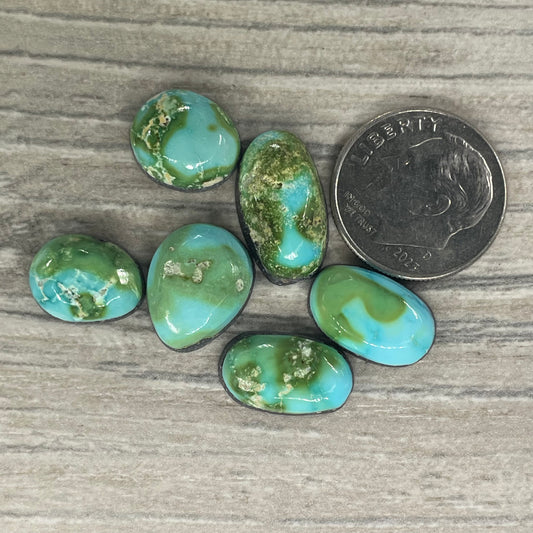 Sonoran Mountain Minis