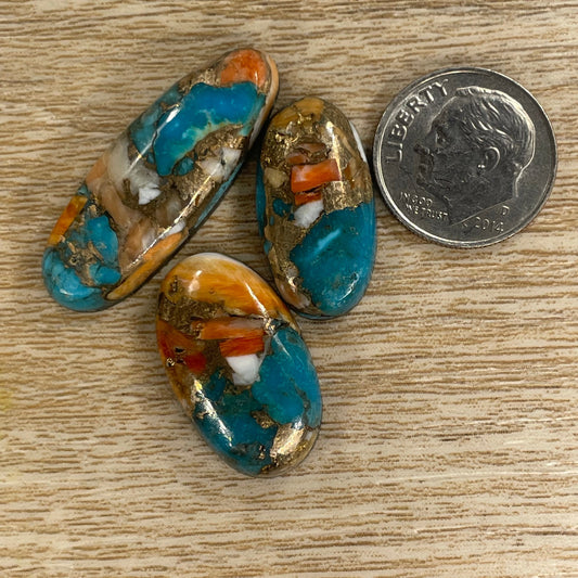 Orange Spiny Turquoise