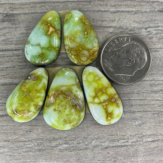 Palomino Set