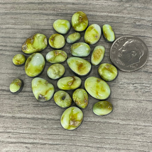 Palomino Minis