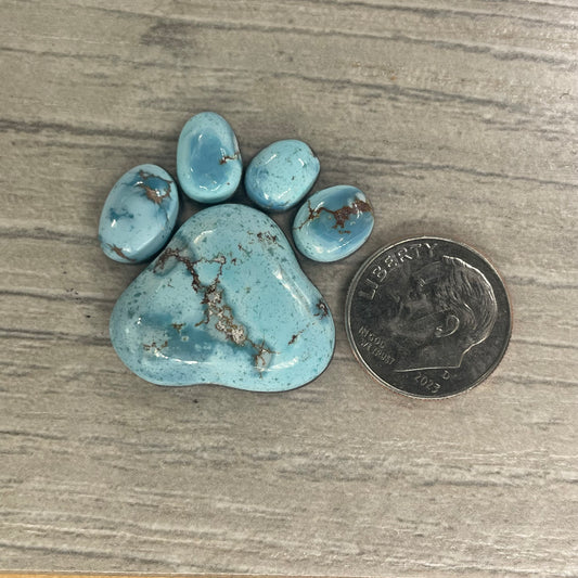 Golden Hill Paw